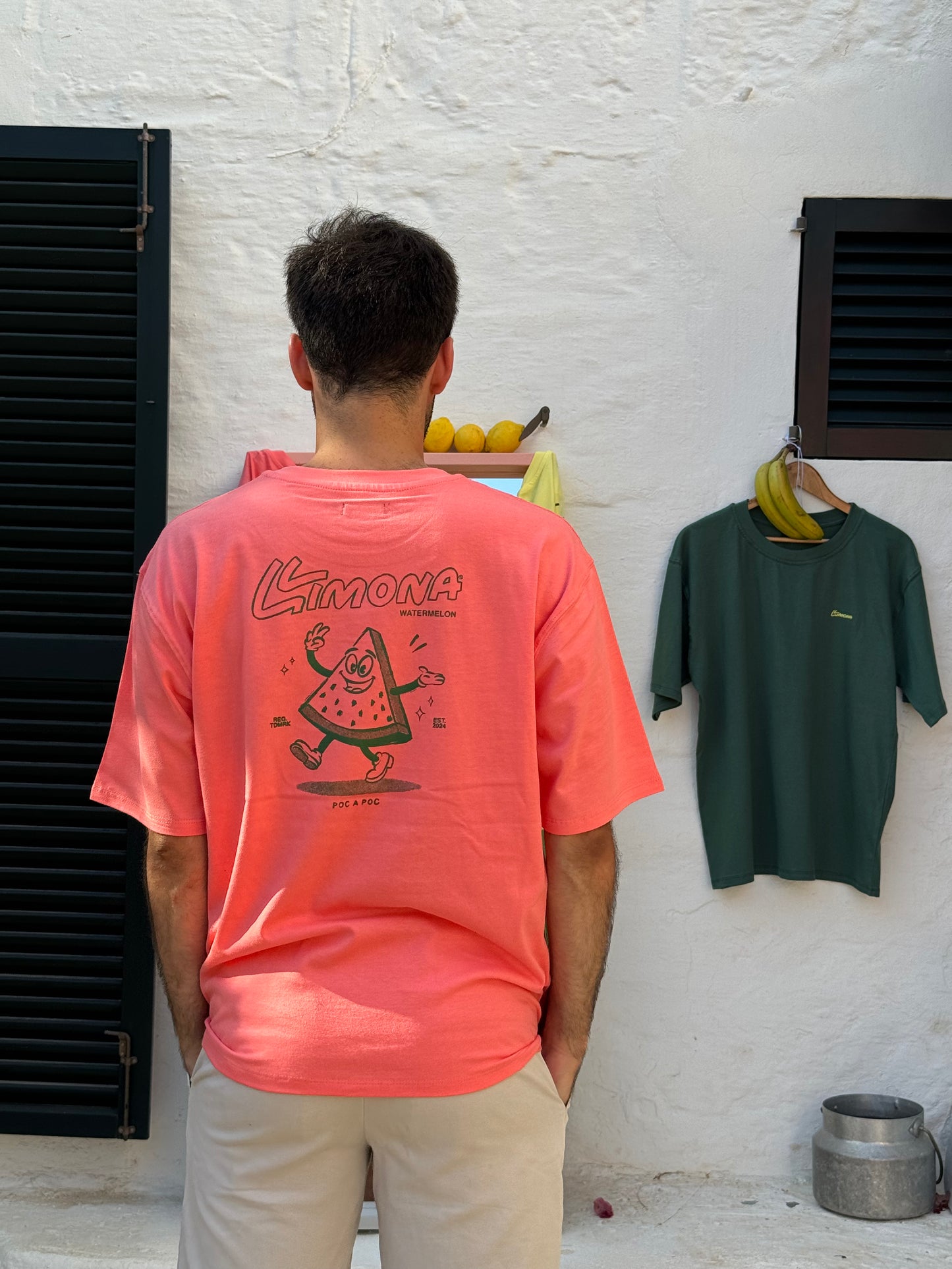 Watermelon Summer T-Shirt